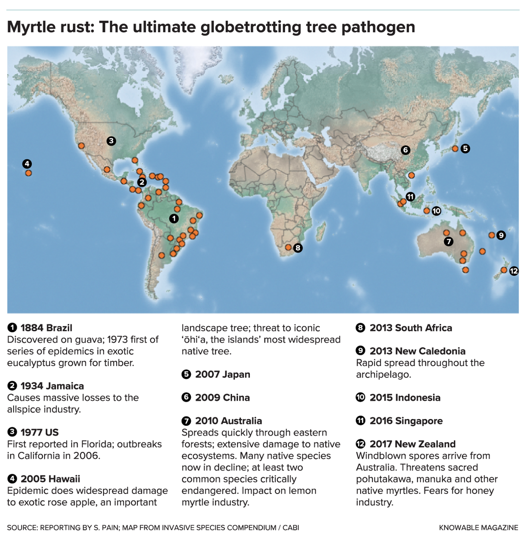 Myrtle Rust Global Map