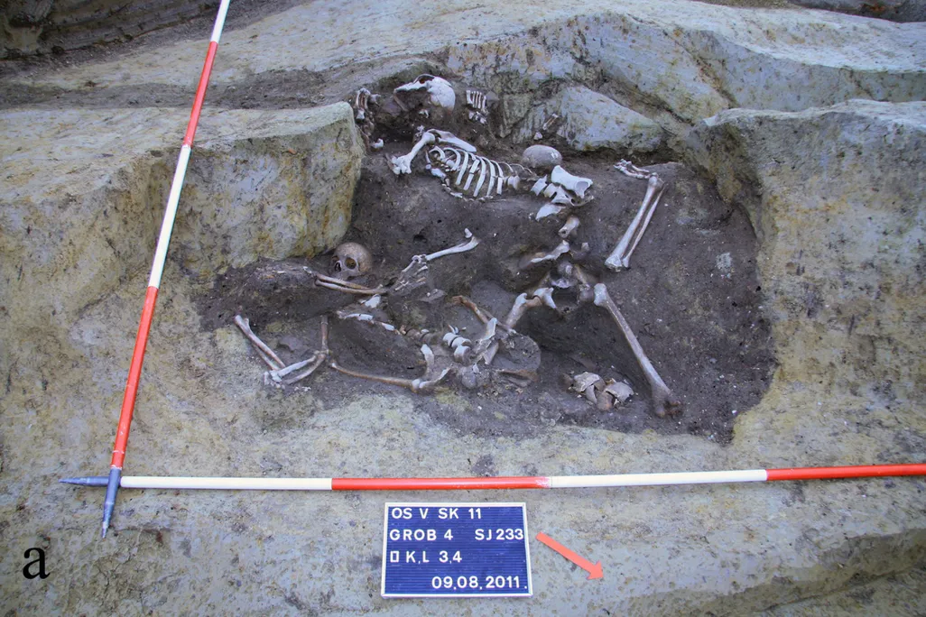 human remains in ancient well