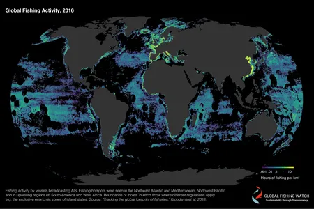 This map shows total fishing activity across the world's oceans as detected by satellite tracking.
