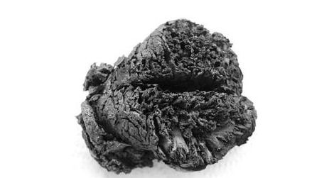 【希少】brainchild’s 非現実 4000-year-old-brain-470.jpg
