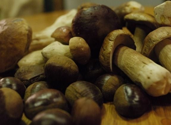 Porcini mushrooms