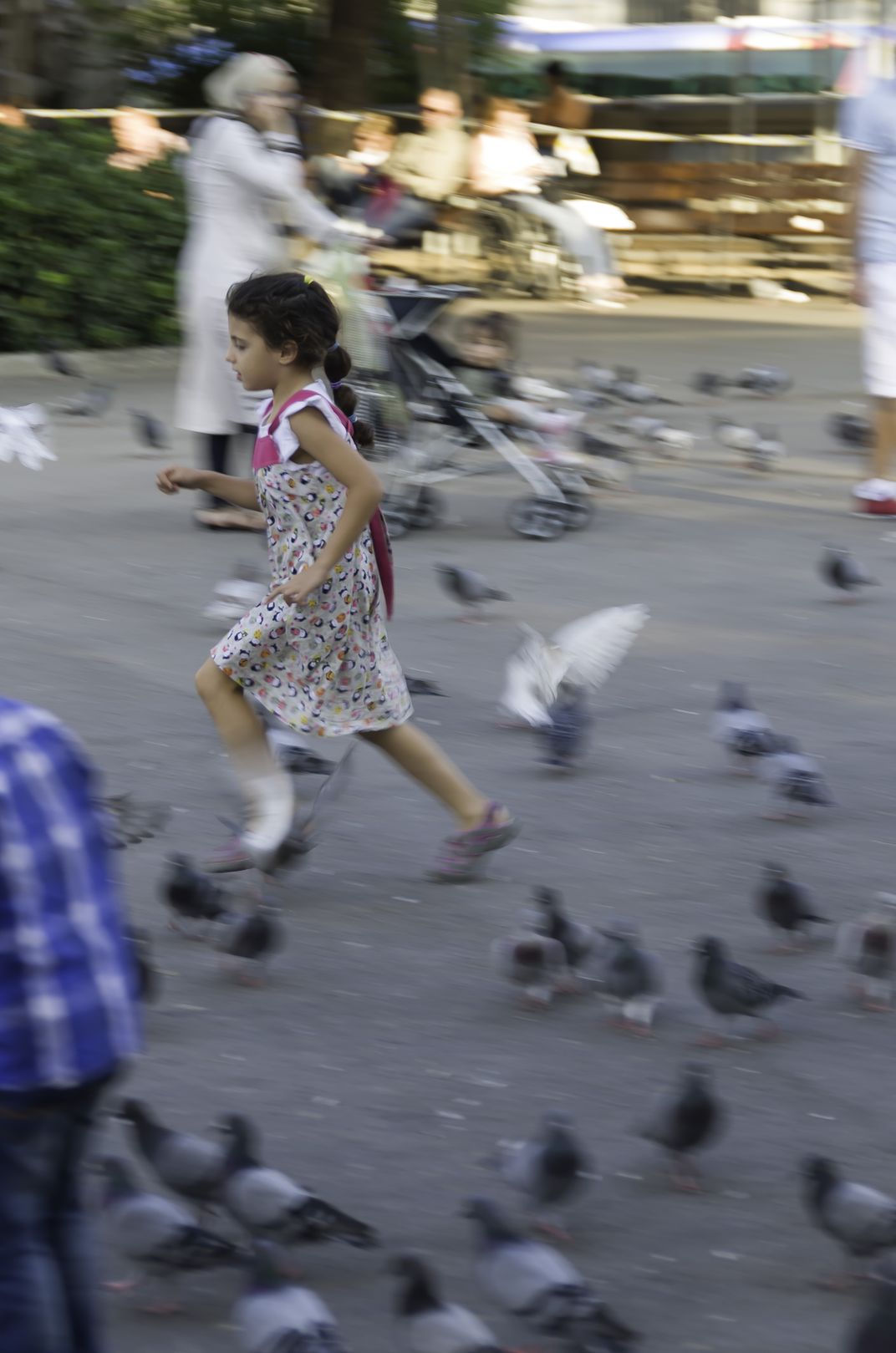 I saw this young girl chasing the pigeons in the park. | Smithsonian ...