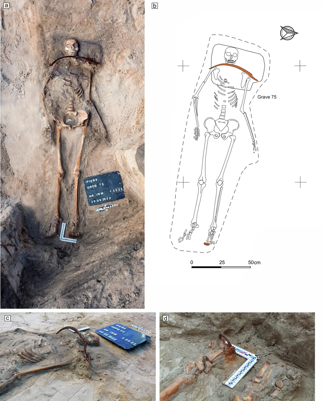 Photos of the sickle, as seen in Zosia's grave