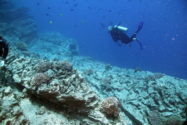 Divers explore Kauai’s reefs