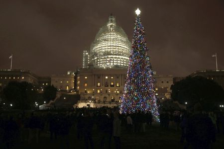 Part of the Capitol Christmas Tree's splendor comes from marine debris collected along the Alaska coast.