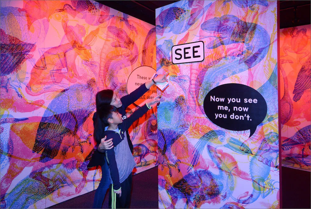 Seeing