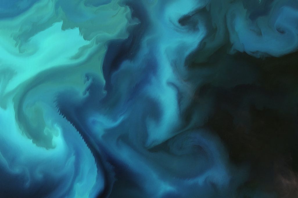 Barents_bloom_fullwidth.jpg