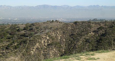 The view from the Dirt Mulholland