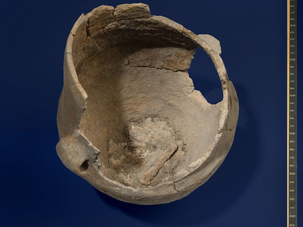 5,000-year-old ceramic vessal