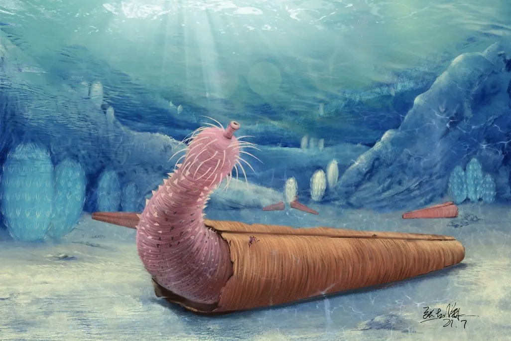 An artistic rendering of a penis worm. It is a tube-like, pink critter with alien-like projections coming off of it. It lives in a long, cylindrical shell and pops its head out of the end. The background is a blue and green underwater landscape.