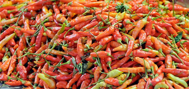 The Scoville Scale: How Spicy is Spicy?