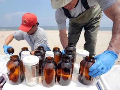 Randy Schademann (R), an on scene coordinator with the US Environmental Protection Agency, and contractor Erik Hadwin collect water samples from the Gulf of Mexico off the beach at Grand Isle, Louisiana, USA, 21 June 2010. 
