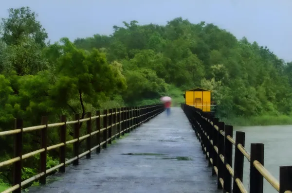 Figures in the Monsoon Mist thumbnail