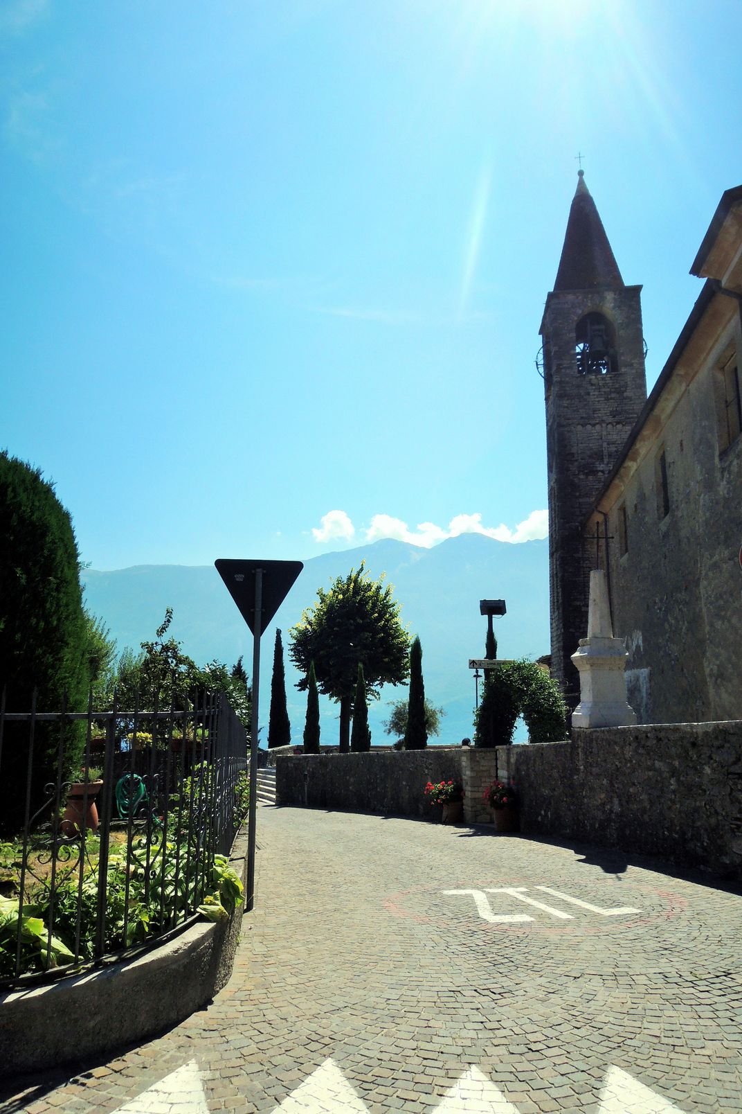 Pregasina Smithsonian Photo Contest Smithsonian Magazine