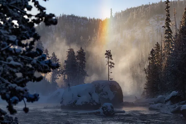 Follow the Light thumbnail