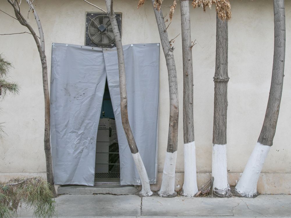 Trees in a row. | Smithsonian Photo Contest | Smithsonian Magazine