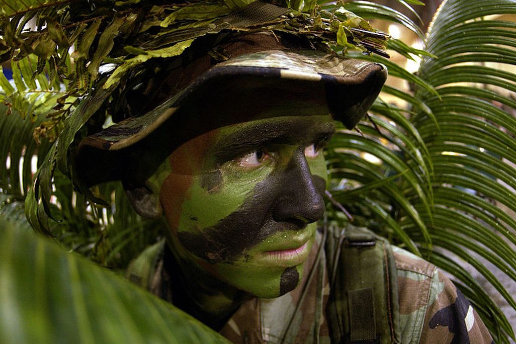 Camo_Face_USAF.jpg