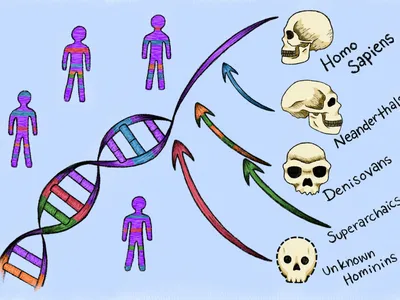 Traces of Two Extinct 'Ghost' Ancestors Were Found Hiding in Modern Human DNA, Hinting at Our Extremely Complex Family Tree image