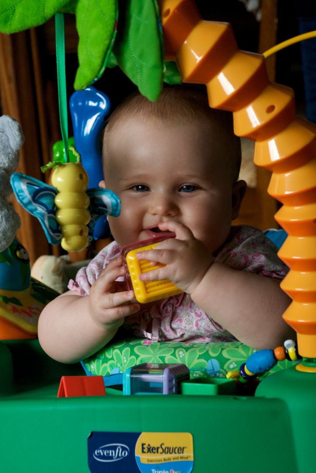 jungle themed exersaucer