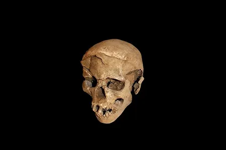 This ancient skull has a terrible tale to tell.