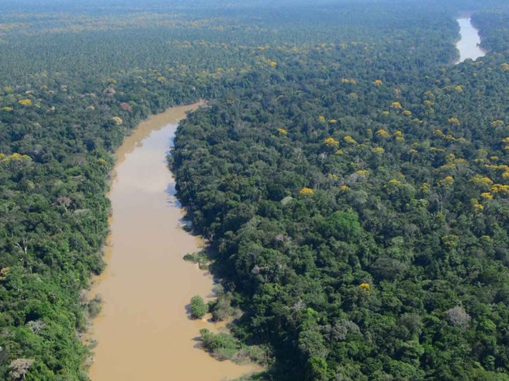 Aerial view of the Algodón River