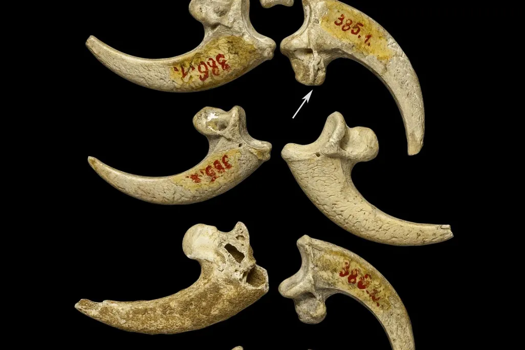 Eagle Talons