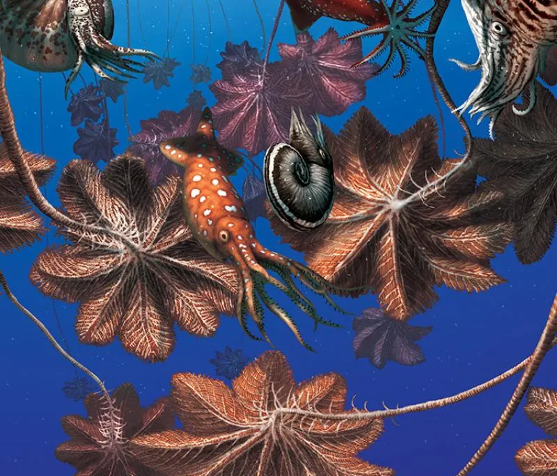 Crinoid Rafts