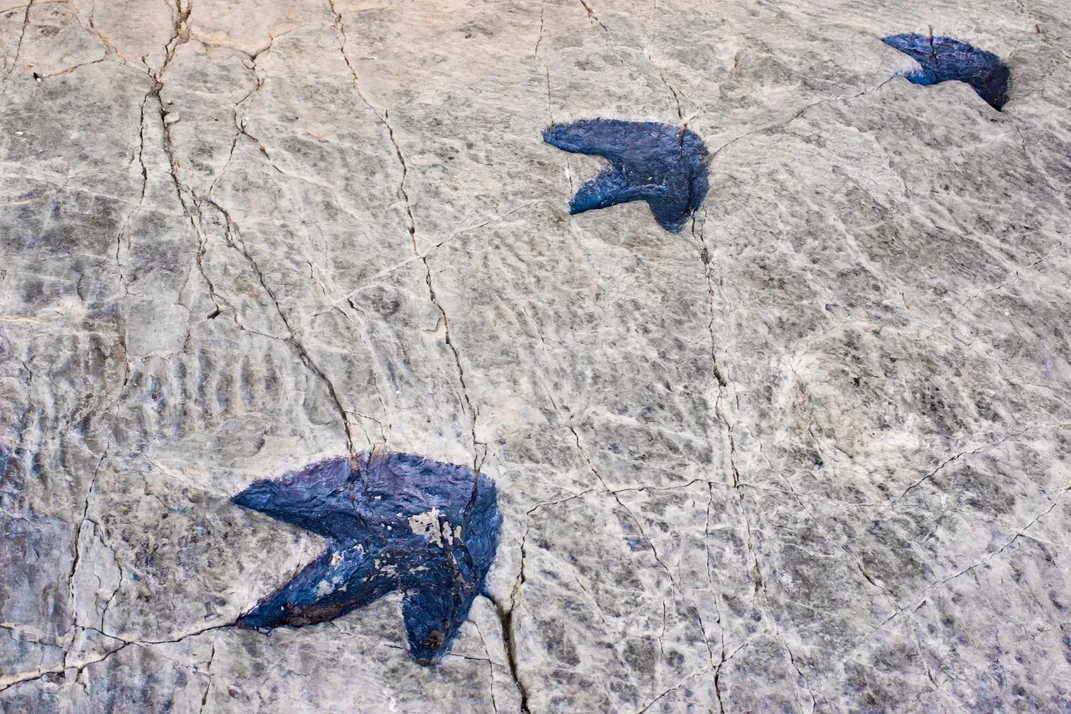 Dinosaur footprints, La Rioja, Spain