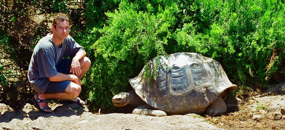  A tortoise and a traveler  