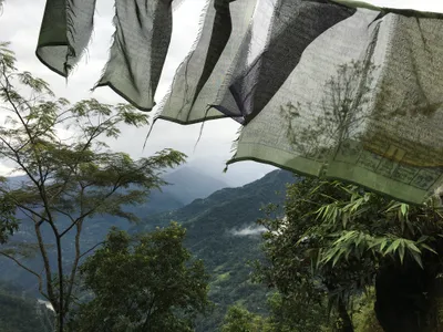 SQJ_1601_India_Darjeel_15.JPG
