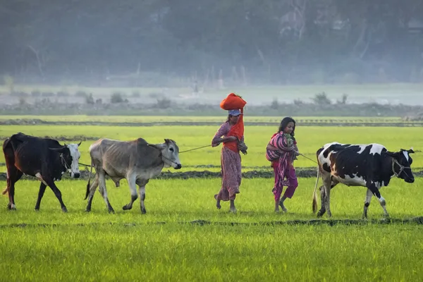 Woman and children returns hre home thumbnail