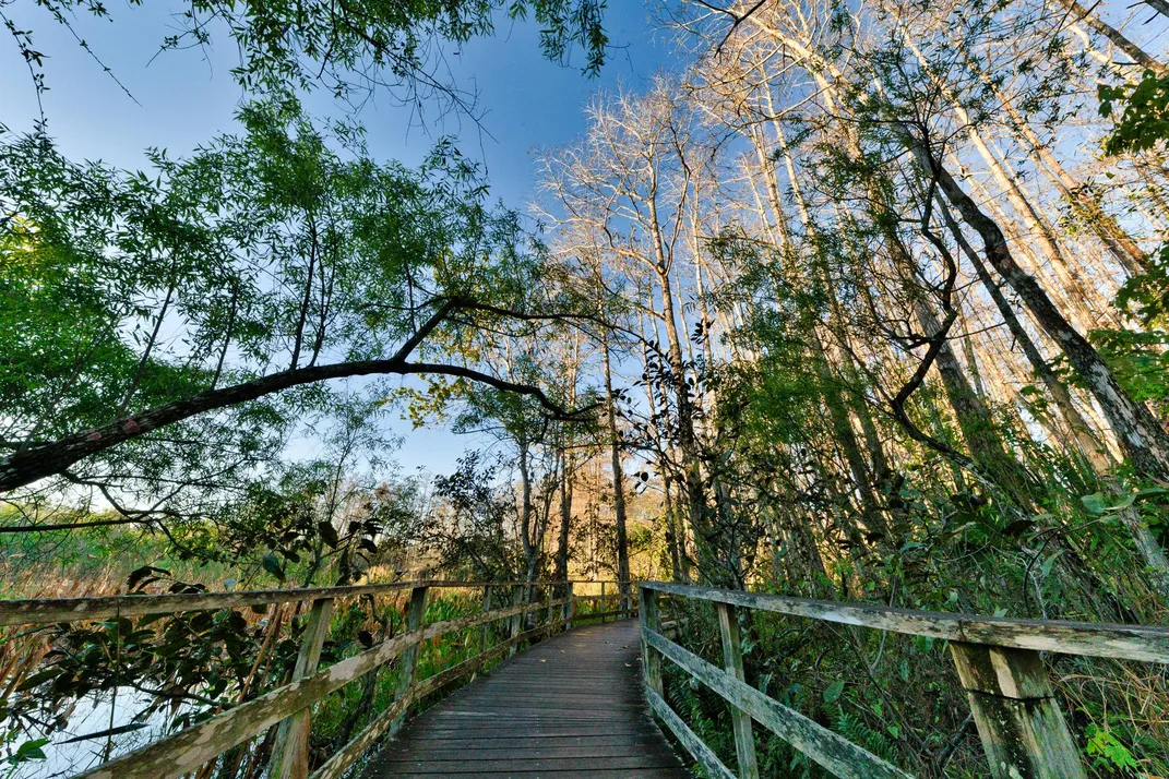 Why The Beaches of Fort Myers & Sanibel Is a Wildlife Adventurer's Dream Destination