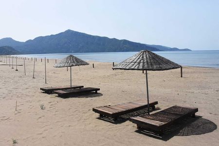 Iztuzu Beach in Turkey was closed during part of the pandemic. Around the world, lockdowns to combat Covid-19 forced people to stay home and halt activities—with mixed results for ecosystems and the living things within them.