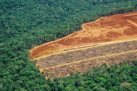 Facebook&rsquo;s move comes as threats to the Brazilian Amazon from logging and land clearing only appear to be growing.