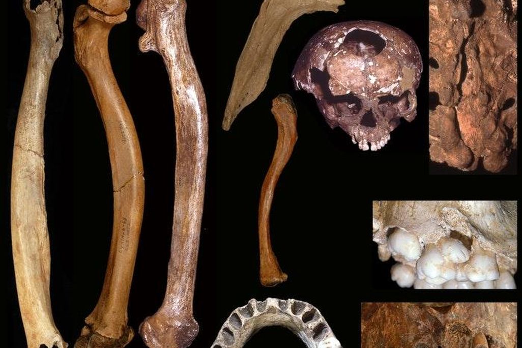 181106-pleistocene-full.jpg