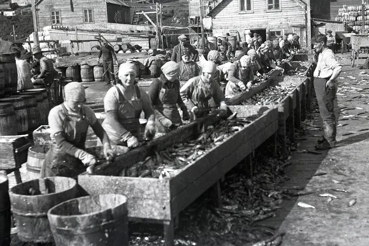 Herring girls working in an undated photo
