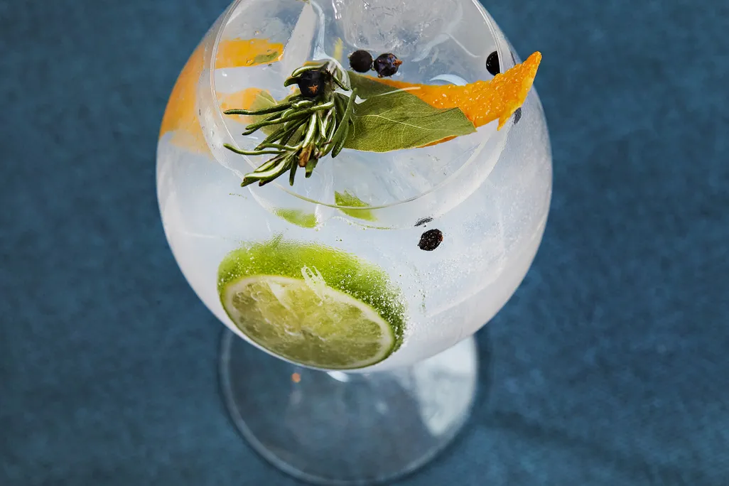 gin and tonic