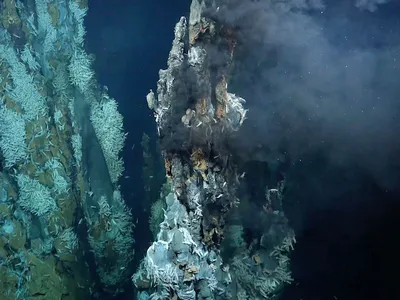 A high-temperature hydrothermal vent field discovered on Puy des Folles Seamount on the Mid-Atlantic Ridge at approximately 6,562 feet in depth.