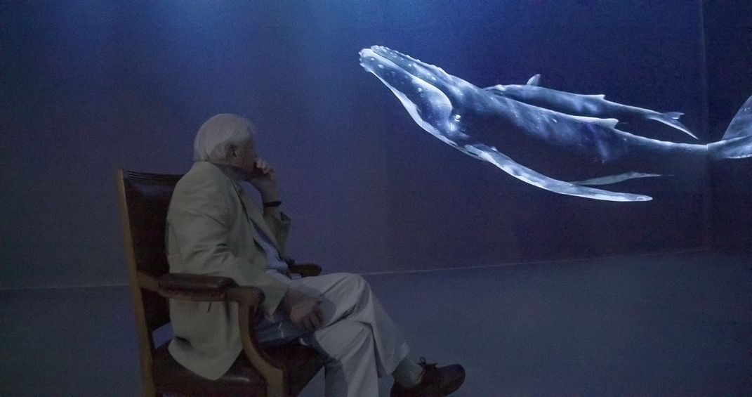 David Attenborough sitting in a chair watching footage of a whale