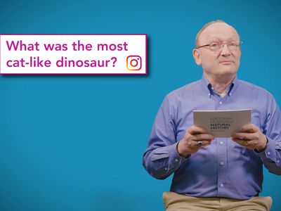 Smithsonian paleontologist, Hans Sues, answers your questions in the National Museum of Natural History’s Deep Time YouTube series, “The Doctor Is In.” (Smithsonian Institution)   