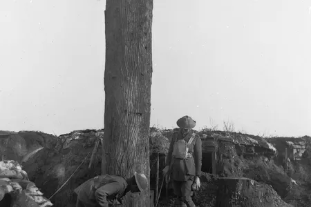 Two unidentified Australian officers examining a tree trunk which was used as an observation post at German House. The opening to the post is located at the base of the trunk. The color patches indicate the officers are members of the 3rd Division Army Services Corps. Note behind the post a dugout (center, right) and trenches.