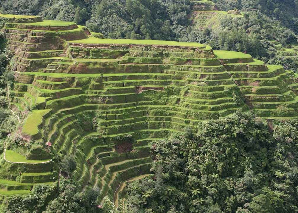 BanaueterraceWEB.jpg