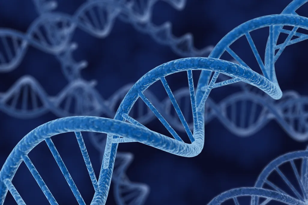 dna helix