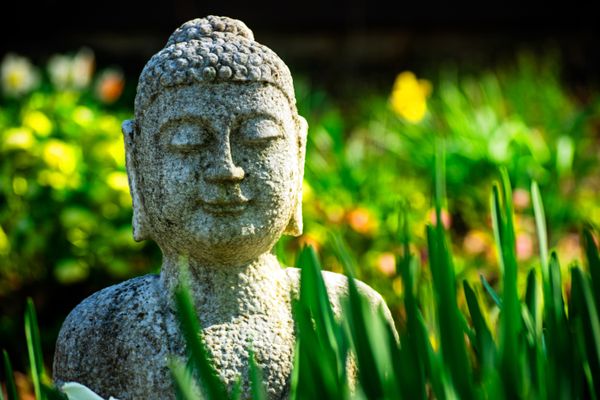 Buddha in the Grass thumbnail