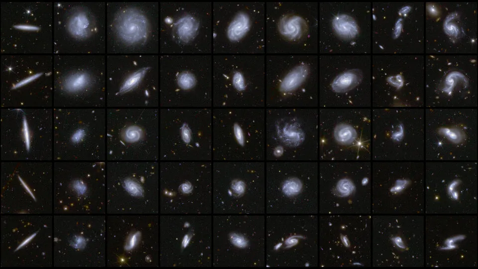 A mosaic of galaxies