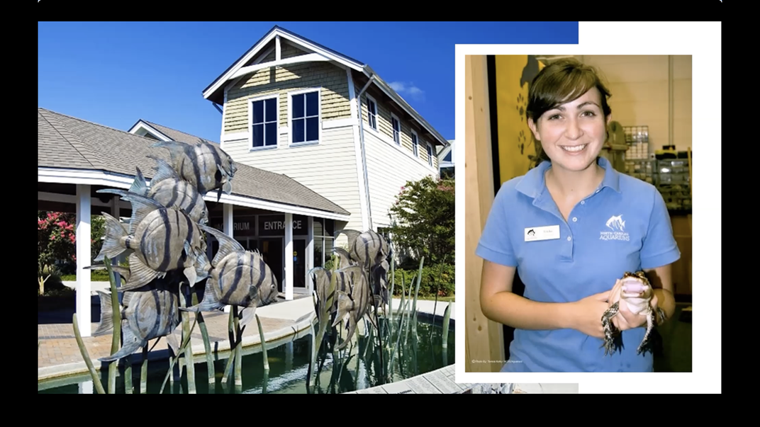 Presentation slide of an aquarium, alongside a women in a blue polo shirt holding a small alligator and smiling