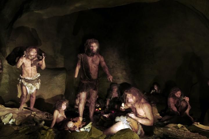 Neanderthals