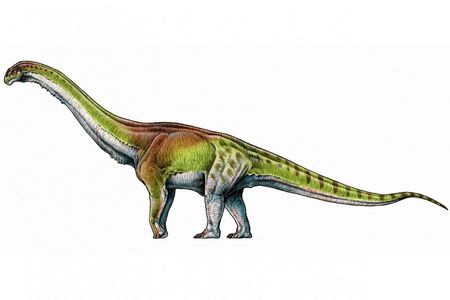An artist's illustration of Patagotitan mayorum, the latest and possibly most gargantuan in a series of recent giant dino finds.