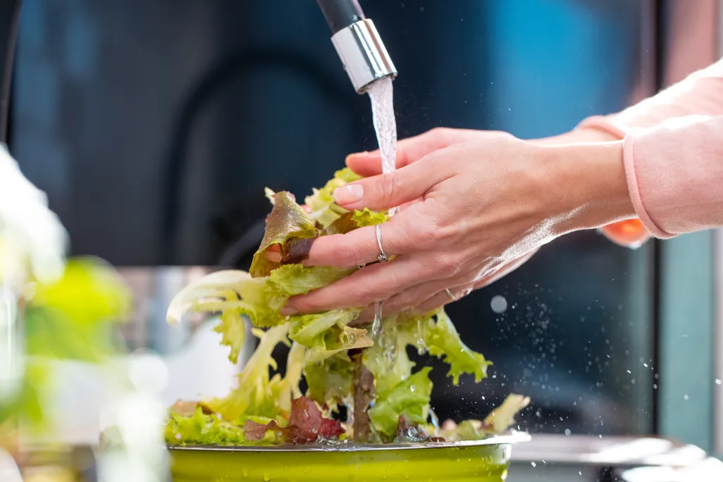 person washing lettuce