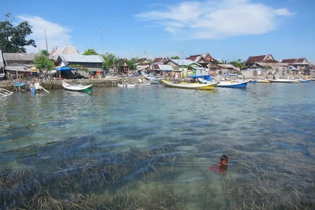 Seagrass grows near a village in the Spermonde Archipelago in Indonesia. Researchers there recently discovered that coastal areas with seagrass have less bacteria than grassless areas.